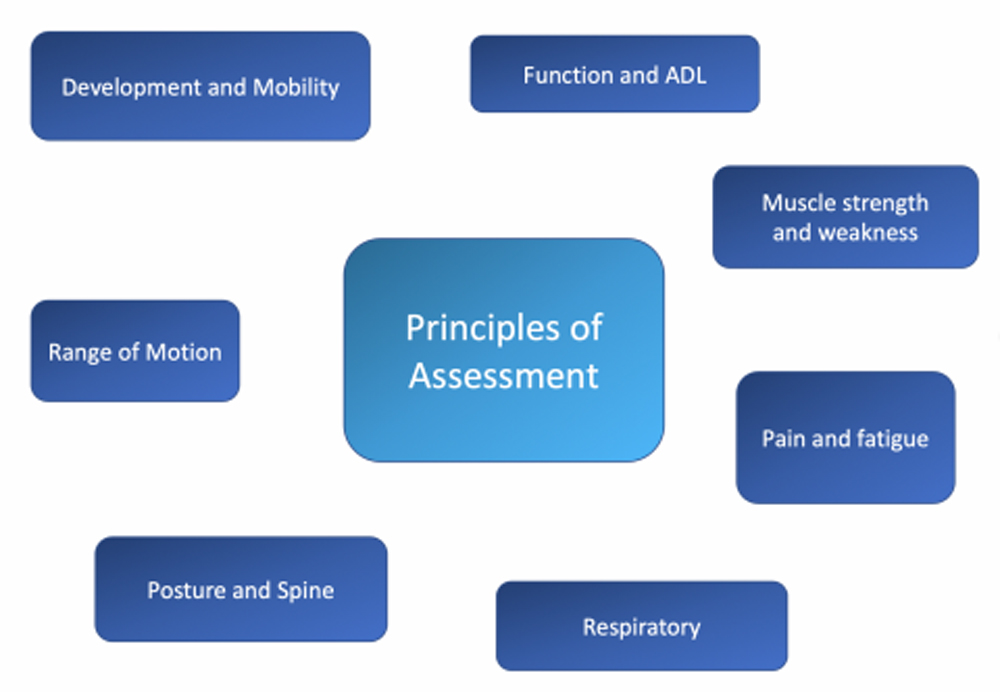 2-3-DMD-Principles-of-assessment