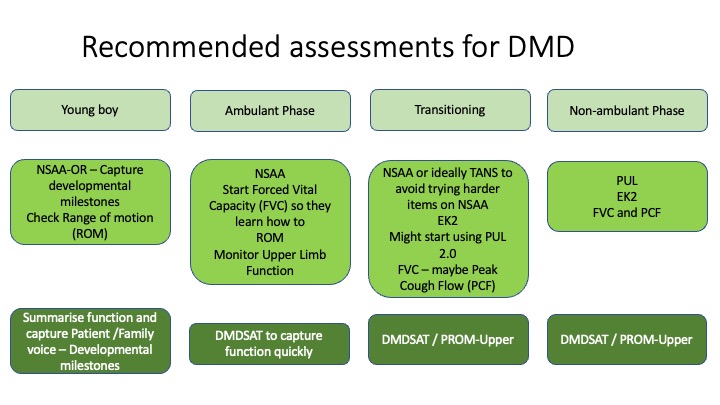 DMD Assessment Guide