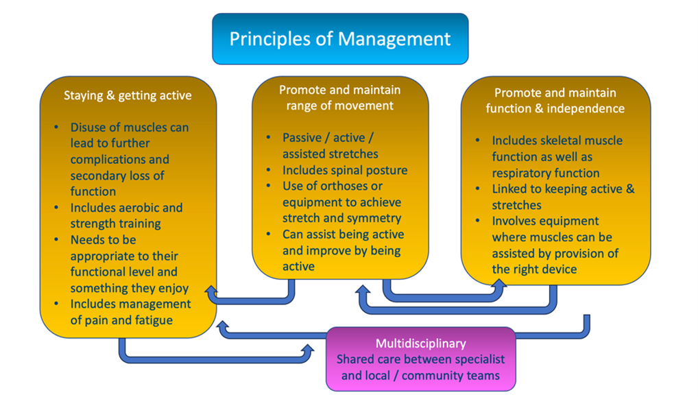 Principles of management